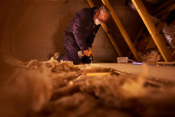 Best Residential Insulation in Magnolia Springs, AL